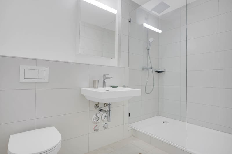 15  Minutes Walk to the Local Central Market,10 Minutes with Bus to Basel Main Train Station (14)