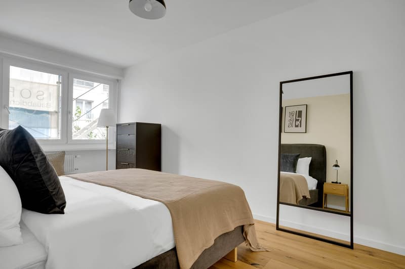 15  Minutes Walk to the Local Central Market,10 Minutes with Bus to Basel Main Train Station (12)