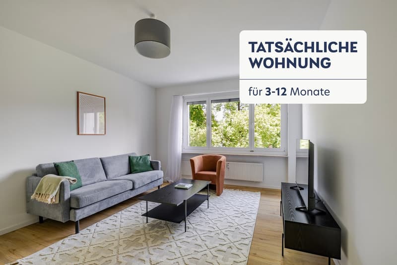 Blueground ID104, Basel-Vorstaedte (1)