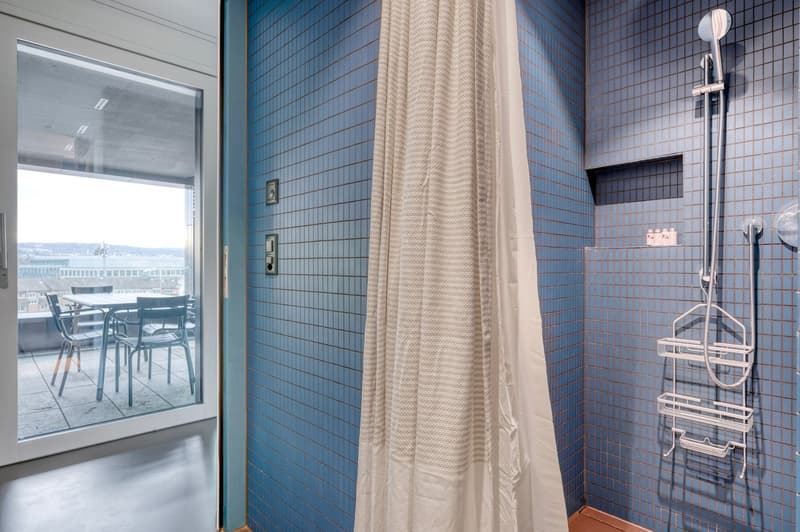 Beautiful Enge 2.5 rooms in Fifa Museum building with cellar and W/T, over Blueground (14)