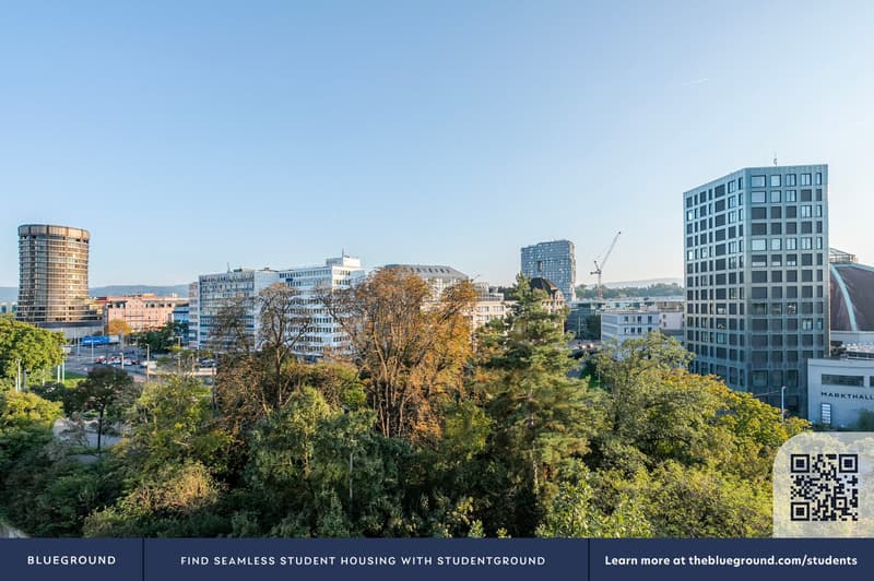 Blueground ID118, Basel-Vorstaedte (5)
