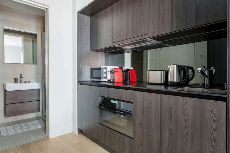Hip Wiedikon 1.5 rooms + living room, + storage, 1 minute to market, via Blueground (3)