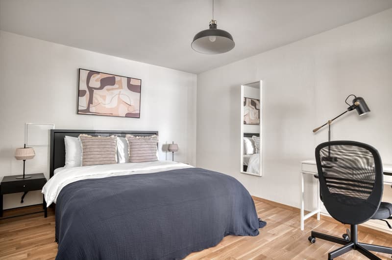 Luxury Wiedikon 2.5 rooms + W/T, + storage, 1 minute to market, via Blueground (7)