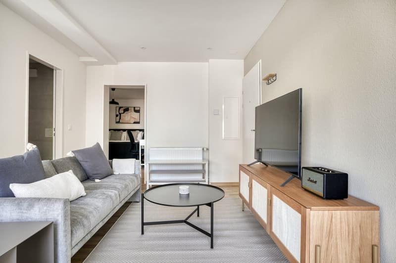 Luxury Wiedikon 2.5 rooms + W/T, + storage, 1 minute to market, via Blueground (3)
