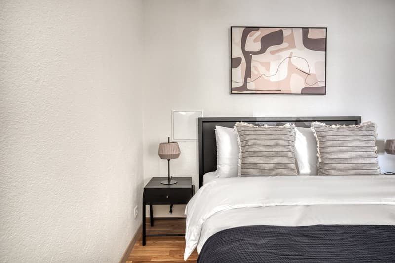 Luxury Wiedikon 2.5 rooms + W/T, + storage, 1 minute to market, via Blueground (8)