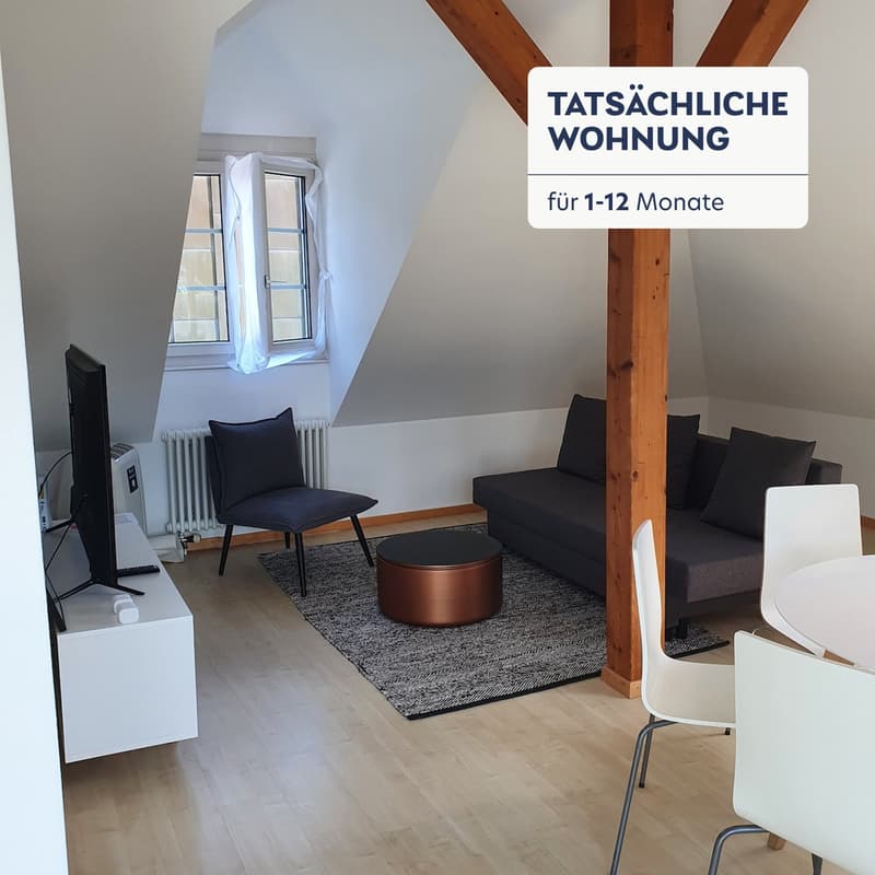 Building Neugasse (ZRH1580679P) (1)