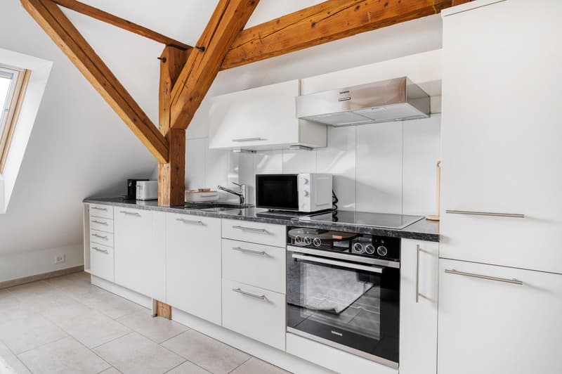 Fantastic Altstetten, 2.5 rooms with W/T, near market, via Blueground (9)