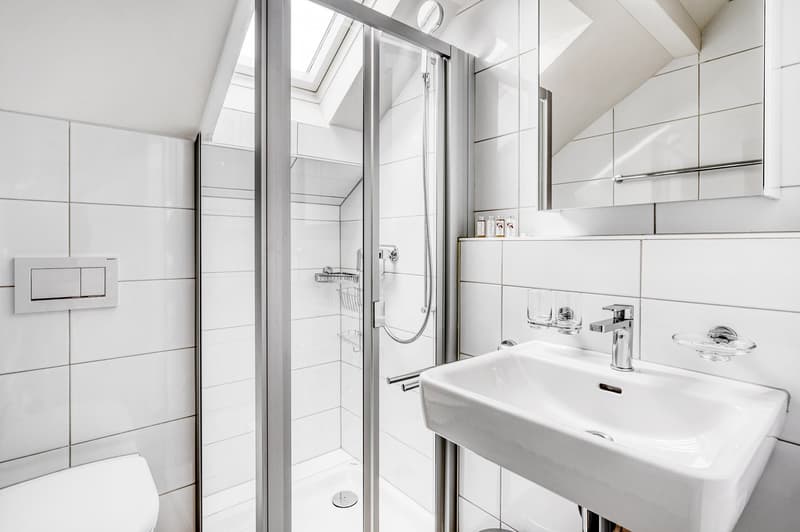 Fantastic Altstetten, 2.5 rooms with W/T, near market, via Blueground (15)