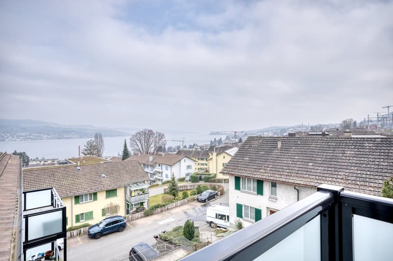 Elegant Horgen, 3 rooms with basement, 5 minutes to market, via Blueground (6)