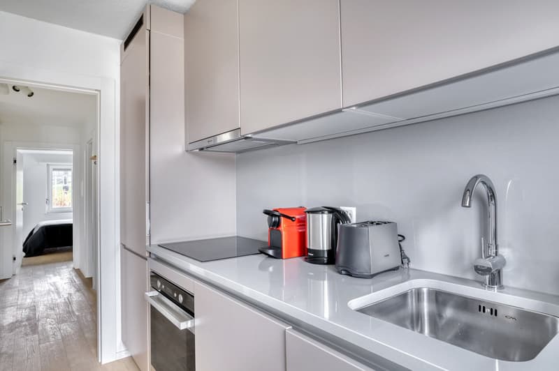 Elegant Horgen, 3 rooms with basement, 5 minutes to market, via Blueground (10)