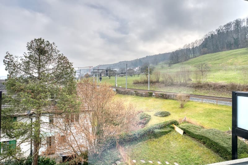 Elegant Horgen, 3 rooms with basement, 5 minutes to market, via Blueground (15)