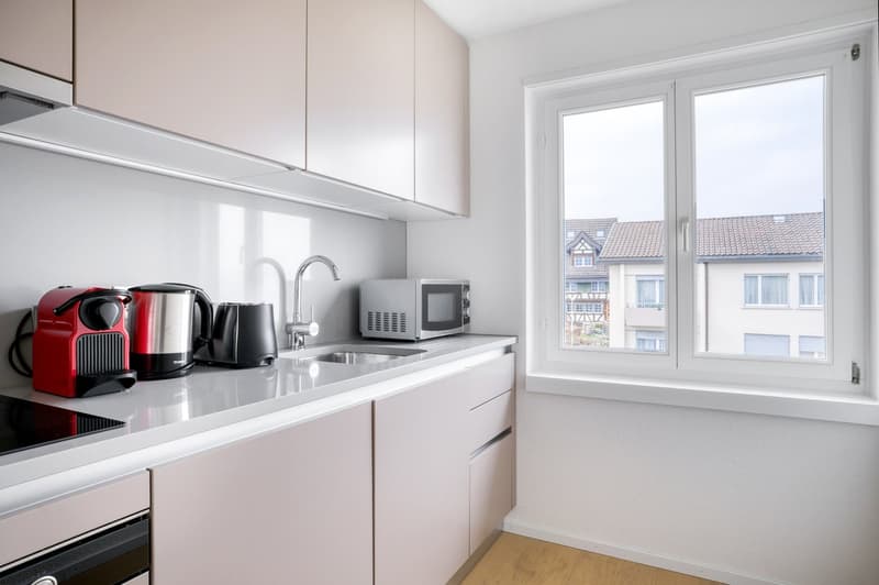 Elegant Horgen, 3 rooms with basement, 5 minutes to market, via Blueground (9)