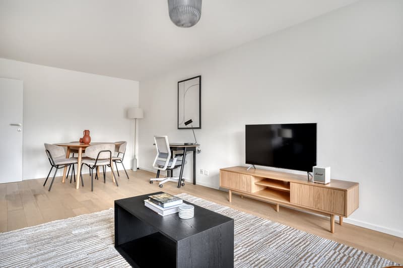 Elegant Horgen, 3 rooms with basement, 5 minutes to market, via Blueground (3)