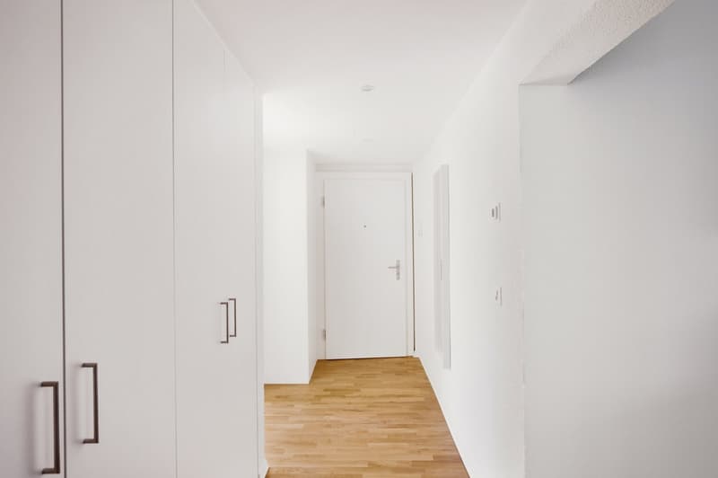 2.5 rooms in Oerlikon, close to the train station, fully furnished, flexible rental period, instant booking (13)