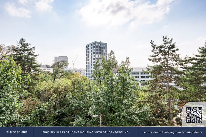 Blueground ID113, Basel-Vorstaedte (5)