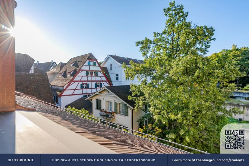 Blueground ID119, Basel-Vorstaedte (5)