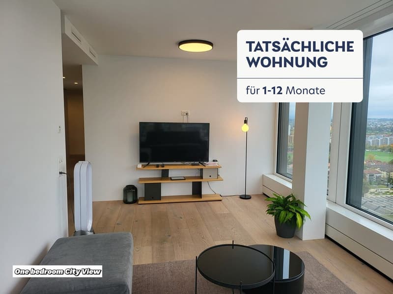 Building Dammstrasse (ZRH1580668P) (1)