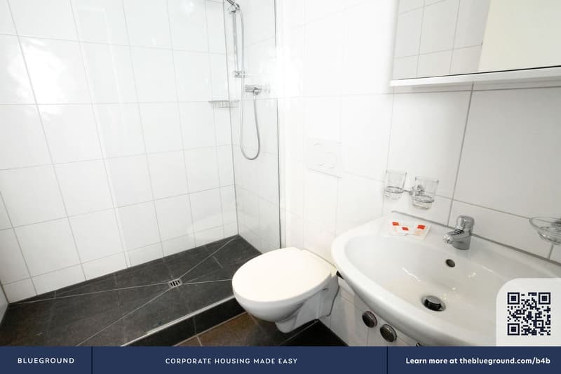Building Schwamendingenstrasse (ZRH1458906P) (4)