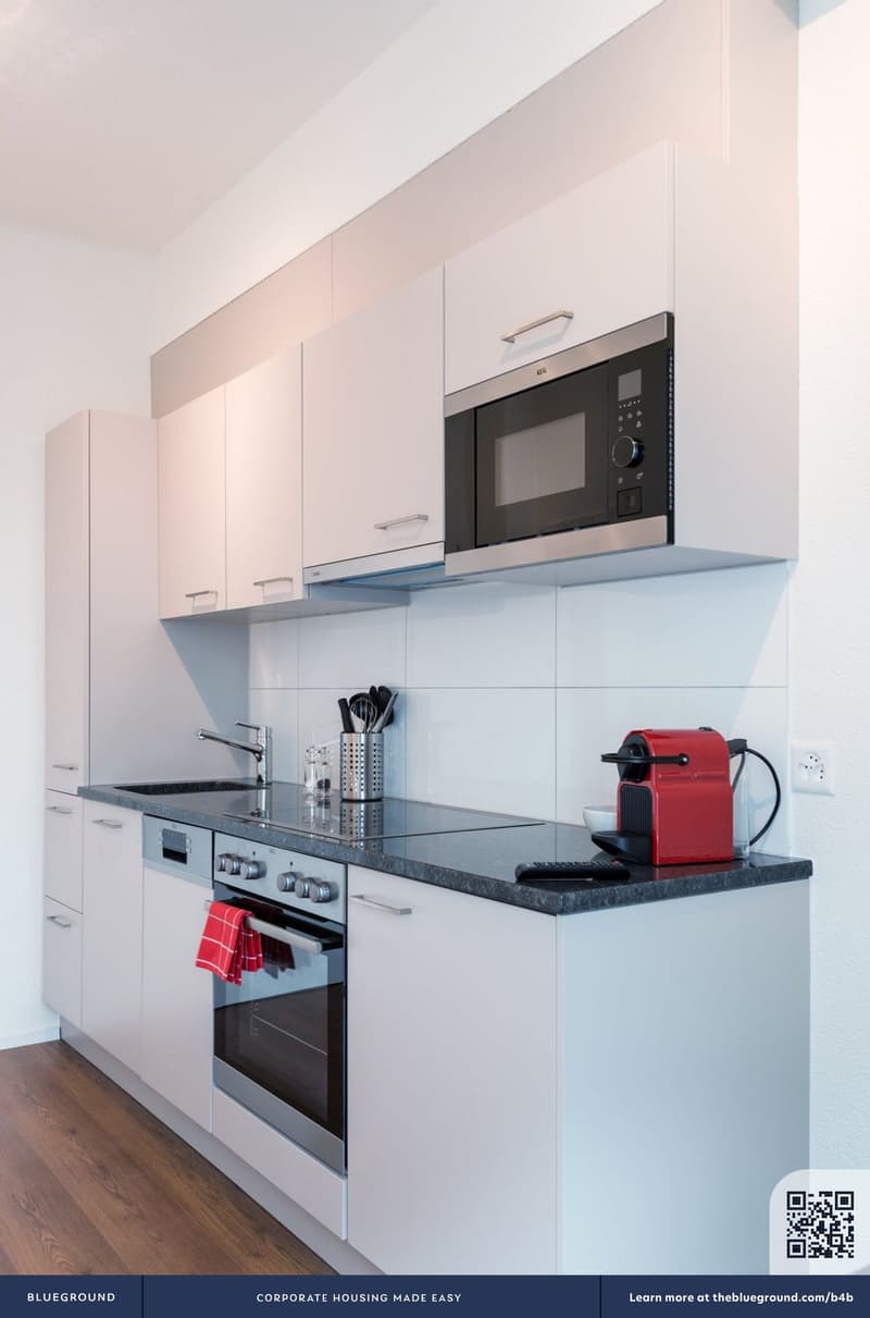 Building Buckhauserstrasse (ZRH1458917P) (4)