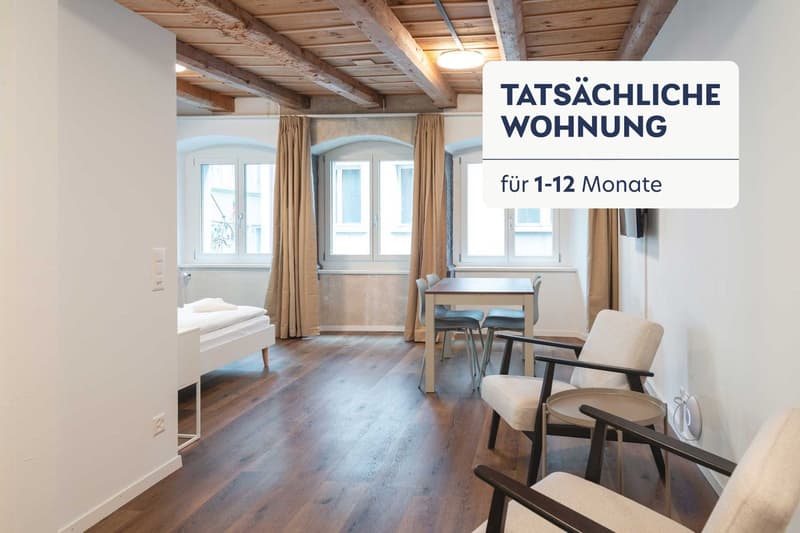 Building Eisengasse (ZRH1542193P) (1)
