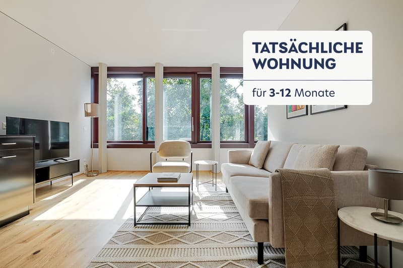 Blueground ID111, Basel-Vorstaedte (1)