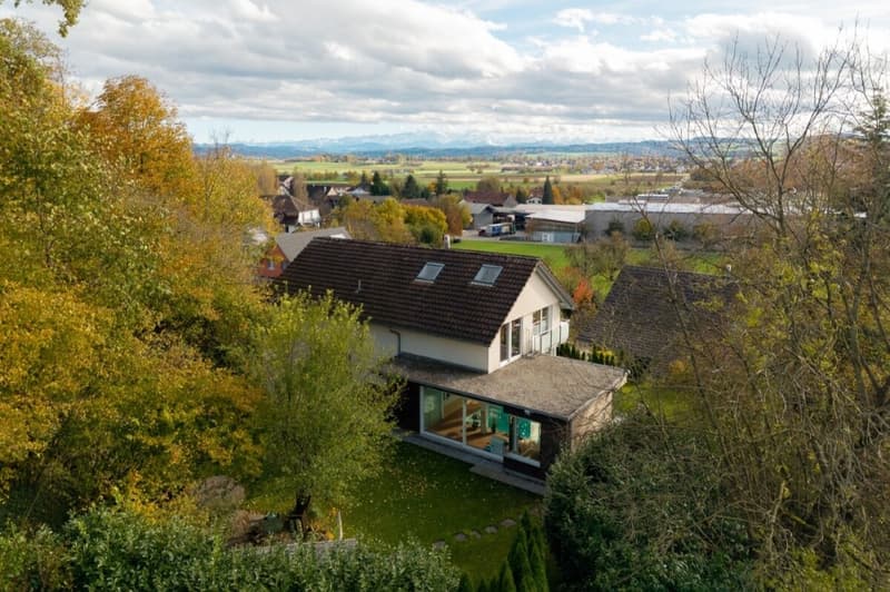 Maison unifamiliale impressionnante avec piscine intérieure et sauna (5)