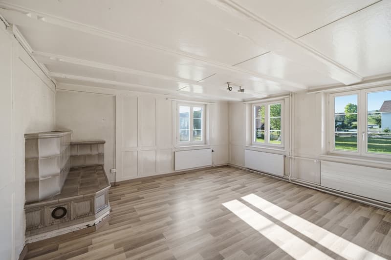 Historisches Bauernhaus in Pfyn TG mit viel Potenzial (5)
