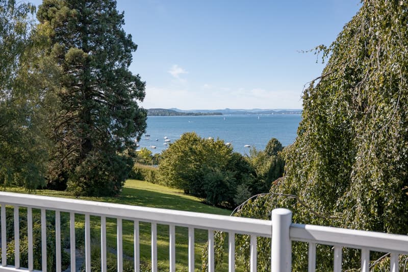 Exklusive Villa am Bodensee mit Seegrundstück in Mannenbach (5)