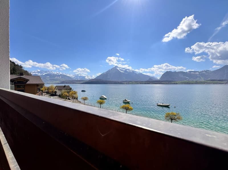Aussicht auf den Niesen