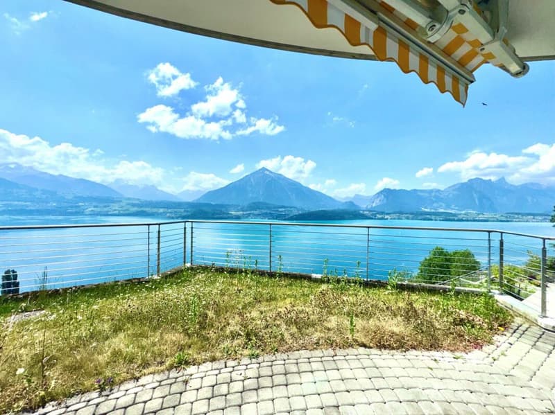 Blick auf den See und Niesen