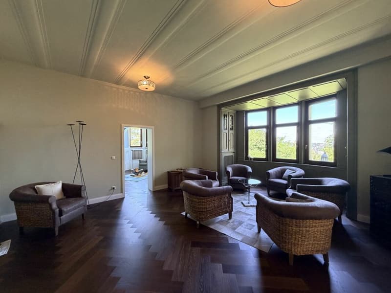 Architectural Unique: Core-Renovated Art Nouveau Estate in Top Stuttgart Location (13)
