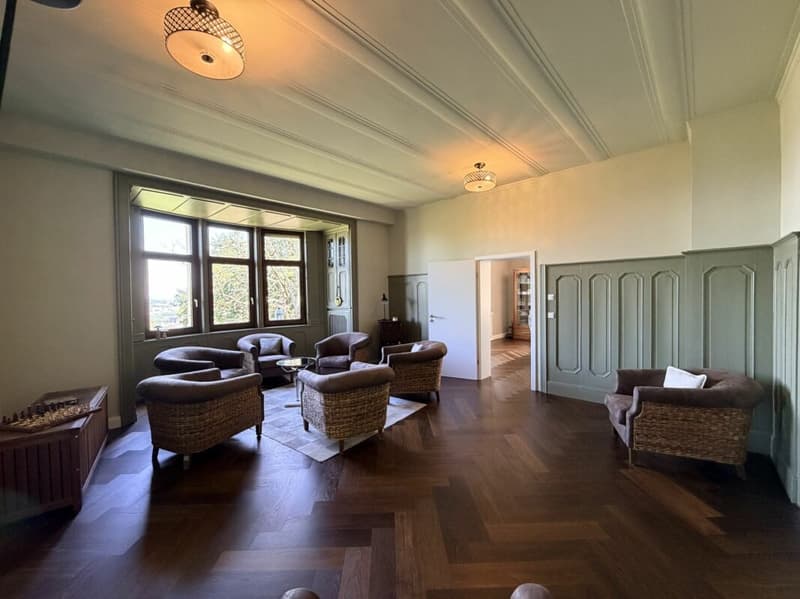 Architectural Unique: Core-Renovated Art Nouveau Estate in Top Stuttgart Location (12)