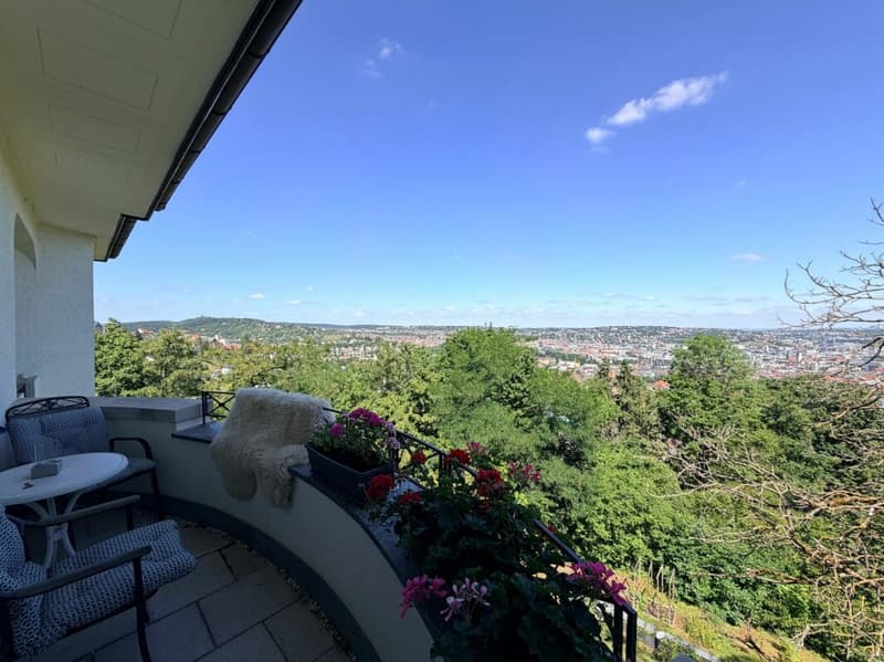 Jugendstilvilla mit Panoramablick und 6.315 m² Parkgrundstück in Stuttgart (21)