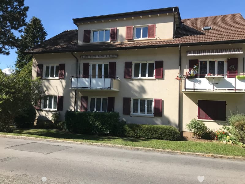 4 Zimmerwohnung in ruhiger Lage (1)