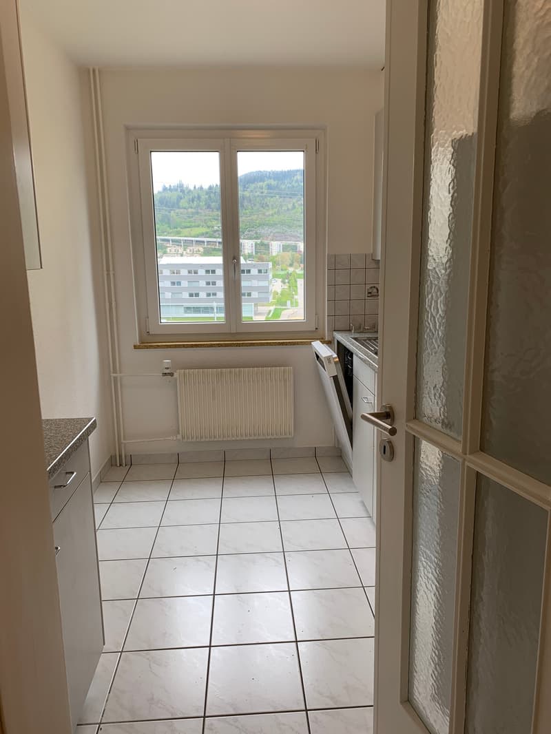 Bright 3-room apartment (3)