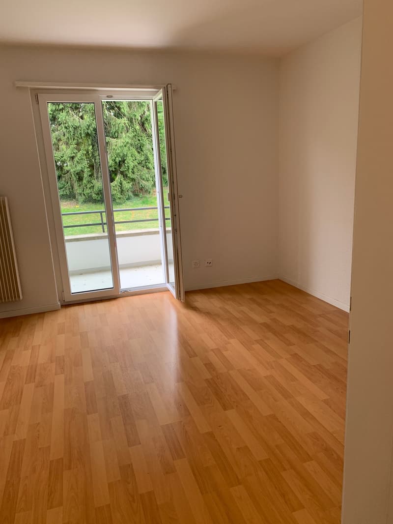 Bright 3-room apartment (4)