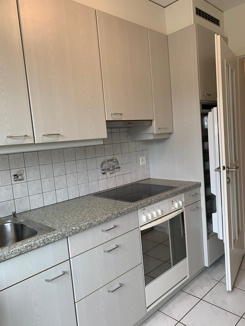 Bright 3-room apartment (2)