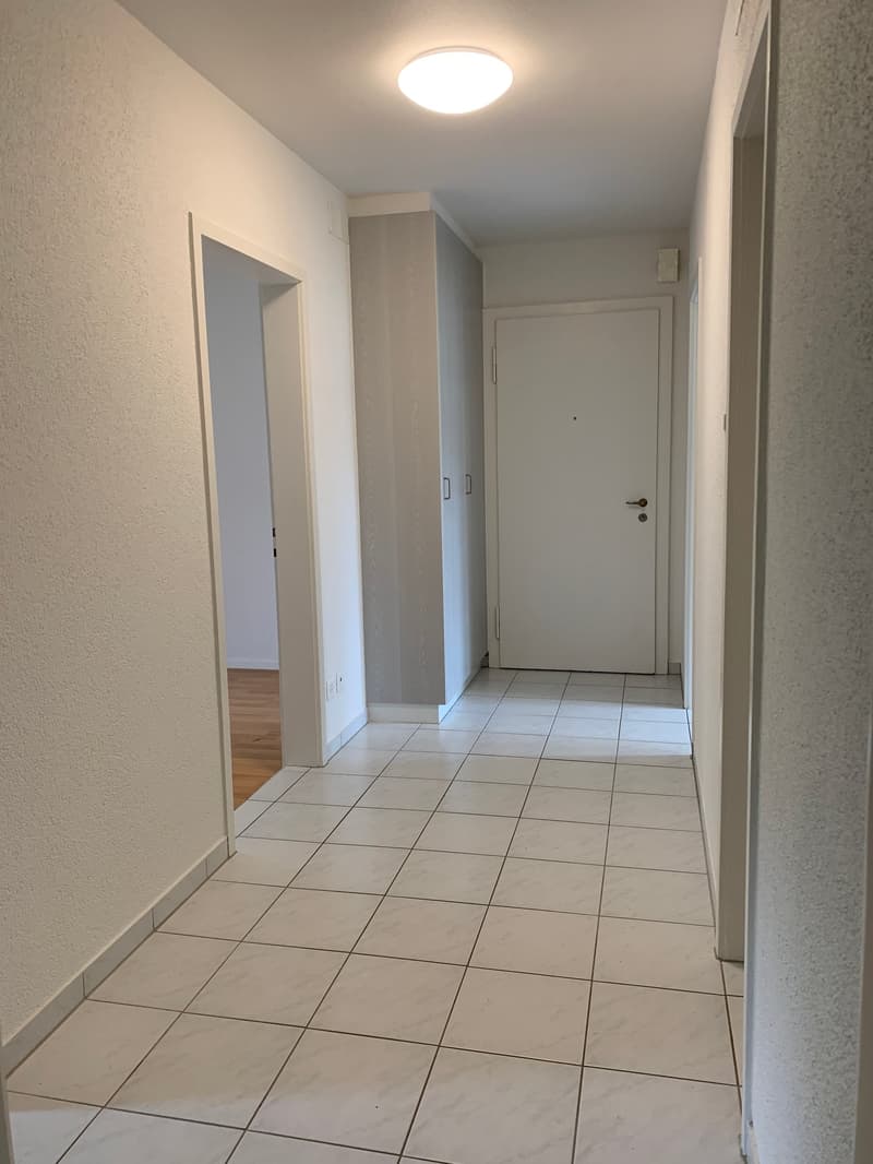 Bright 3-room apartment (8)