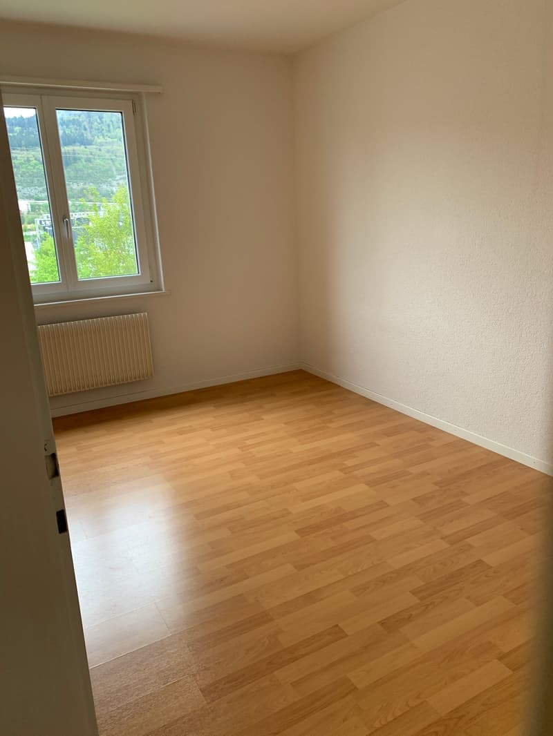 Bright 3-room apartment (6)