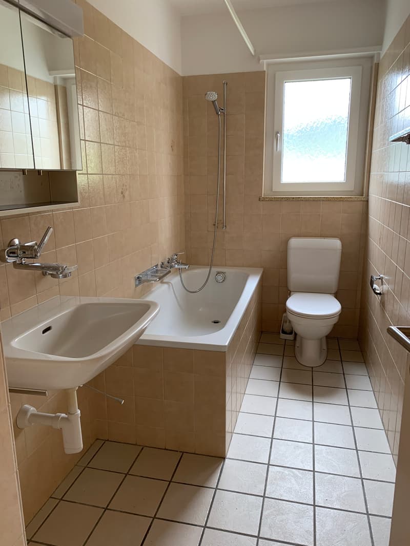 Bright 3-room apartment (7)