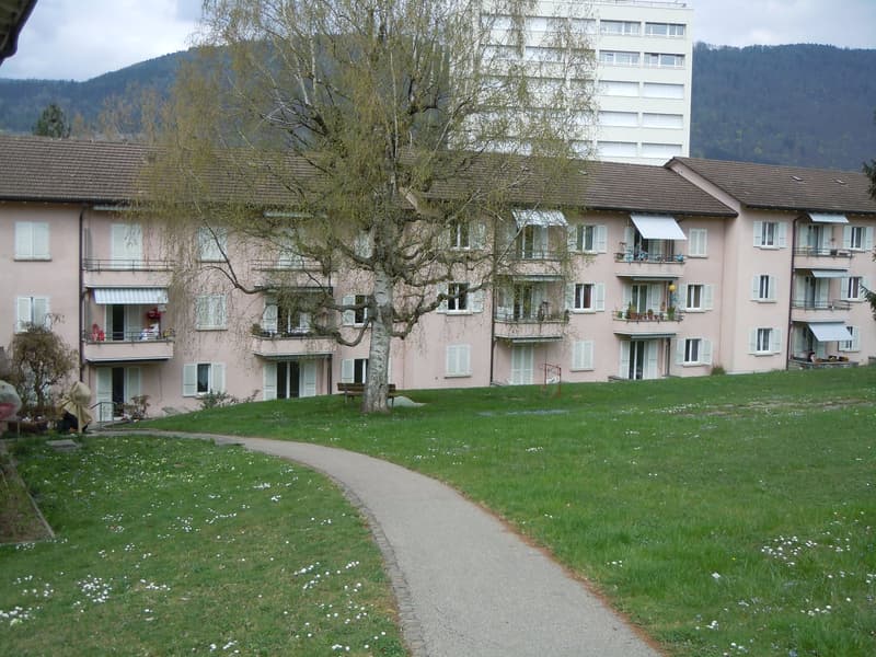 Bright 3-room apartment (1)