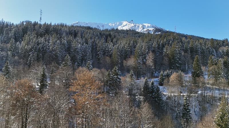 Appartement de luxe exclusif avec caractère de chalet au centre de Klosters (10)