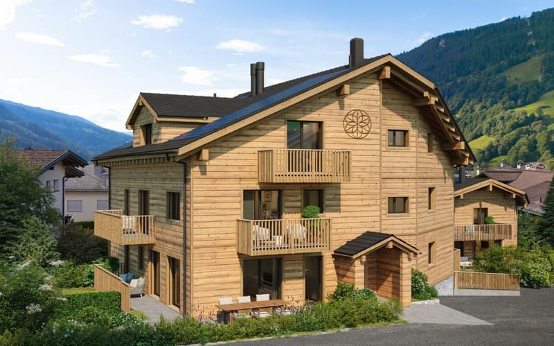 Jewel of a Home "Chesa Lumina" First-Time Residence (3)