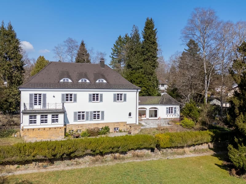 Villa storica con parco (2)