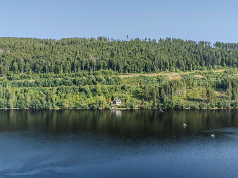Rareté exclusive sur Titisee - Maison historique au bord du lac avec accès direct (5)