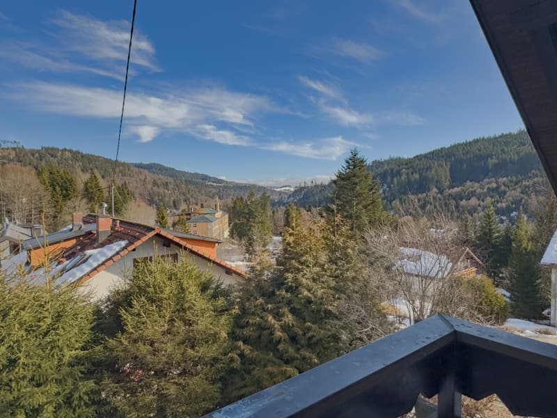 Affitto o Vendita: Residenza della Foresta Nera vicino al confine svizzero (12)