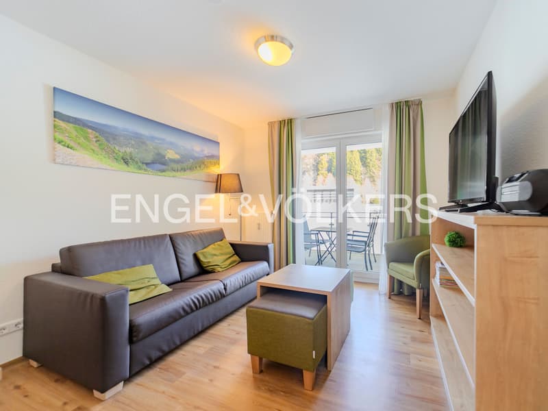 Appartement de vacances à rendement élevé au Feldberg (3)