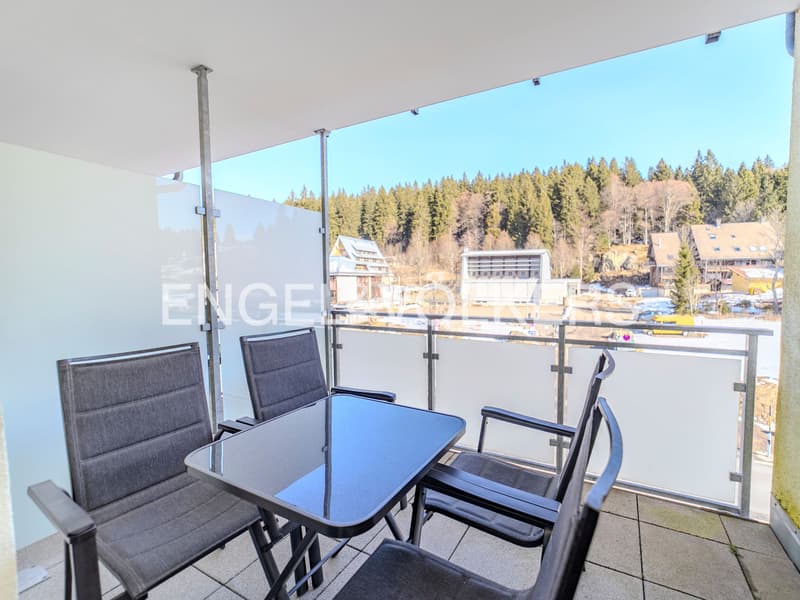 Appartement de vacances à rendement élevé au Feldberg (6)