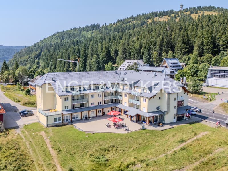 Appartement de vacances à rendement élevé au Feldberg (7)