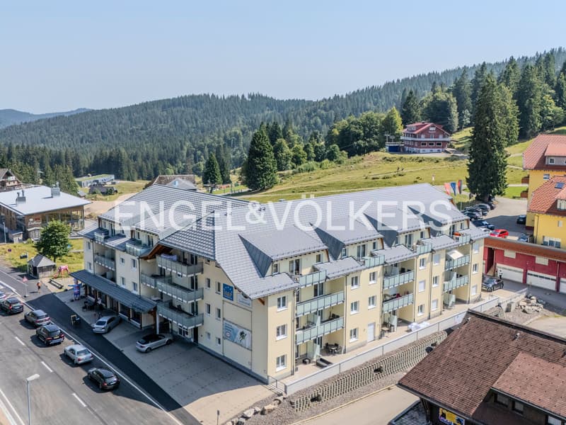 Appartement de vacances à rendement élevé au Feldberg (8)